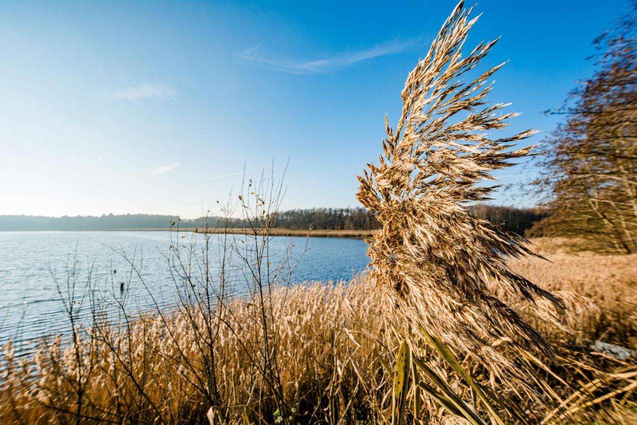 5 Sterne Ferienhaus Direkt Am See Mit Sauna-Kamin-Garten Krakow am See Εξωτερικό φωτογραφία